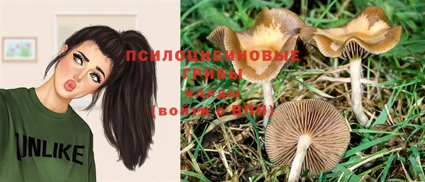 ПСИЛОЦИБИНОВЫЕ ГРИБЫ Балахна