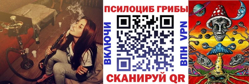Галлюциногенные грибы Psilocybe Красный Холм